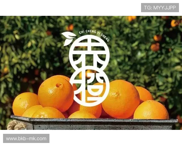 行业构建版权内容保护机制，保障品牌传播价值